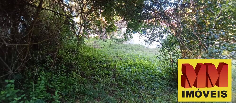 Terreno à venda e aluguel, 1798m² - Foto 2