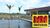 Terreno, 384 m² - Foto 3