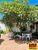 Casa, 2 quartos, 180 m² - Foto 2