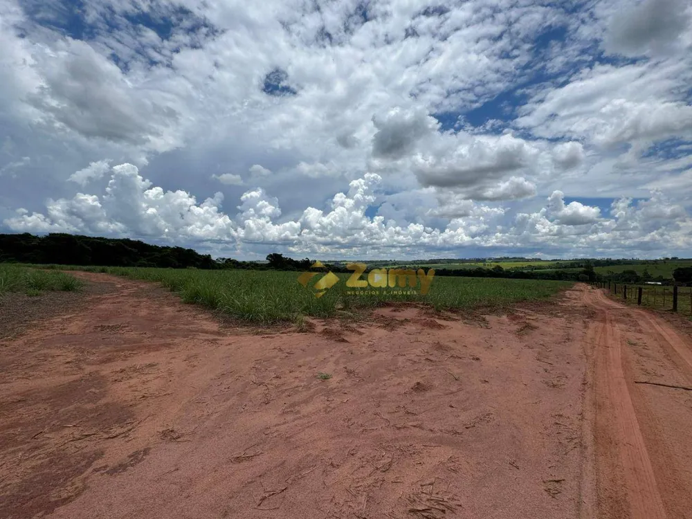 Sítio, 36 hectares - Foto 4