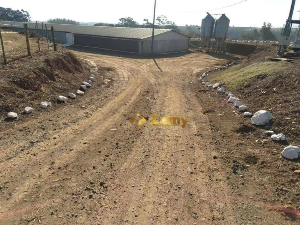 Sítio, 7 hectares - Foto 13