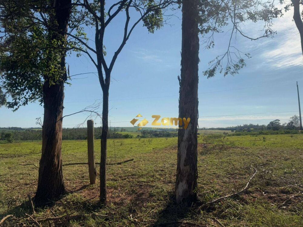 Chácara à venda, 21175M2 - Foto 4