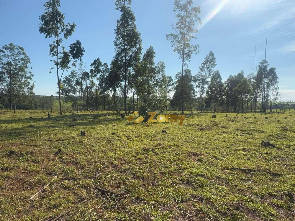 Chácara, 2 hectares - Foto 8