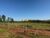 Chácara, 2 hectares - Foto 2
