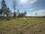 Chácara, 2 hectares - Foto 3