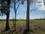 Chácara, 2 hectares - Foto 4