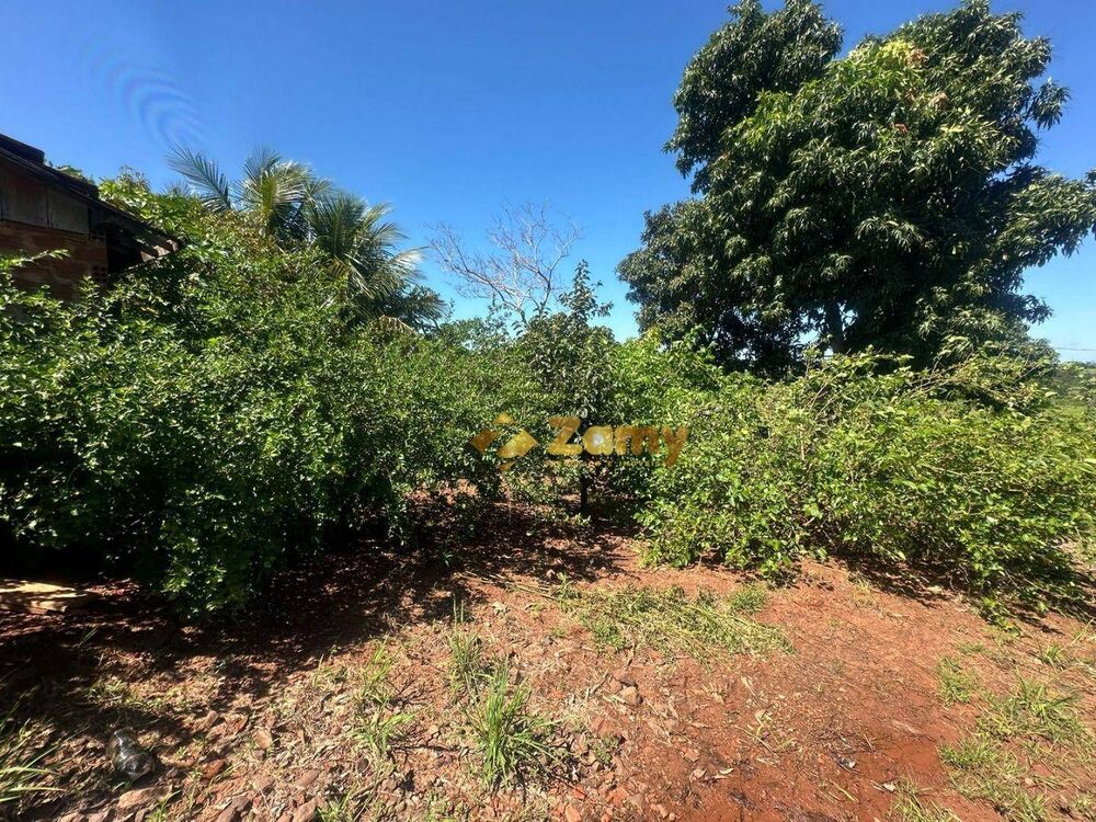 Sítio, 27 hectares - Foto 3