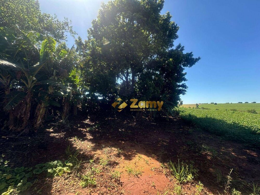 Sítio, 27 hectares - Foto 4