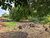 Terreno, 1370 m² - Foto 2