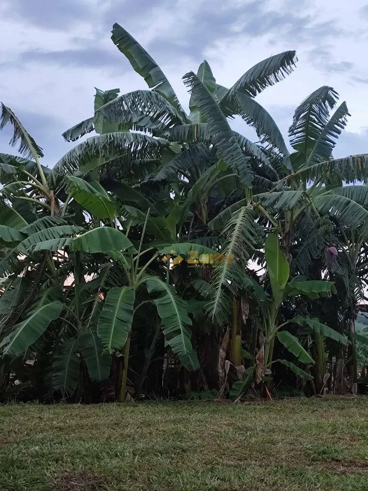 Chácara, 2 quartos, 3 hectares - Foto 11