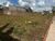 Terreno, 223 m² - Foto 2