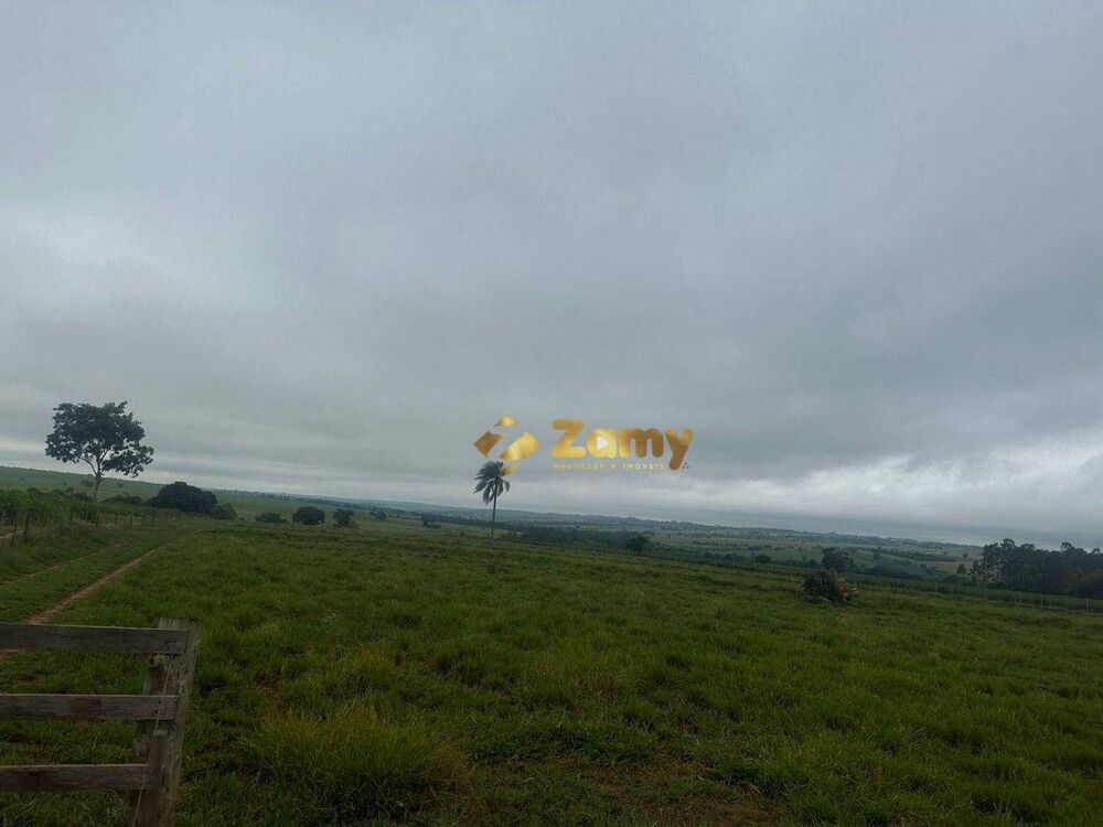 Sítio, 34 hectares - Foto 4