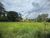 Chácara, 2000 m² - Foto 2