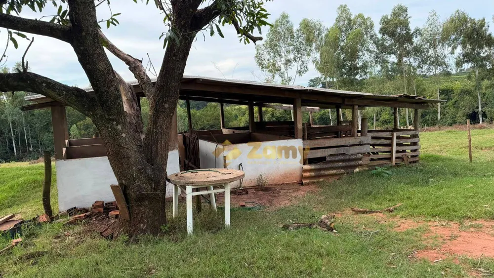 Sítio, 3 quartos, 242 hectares - Foto 7