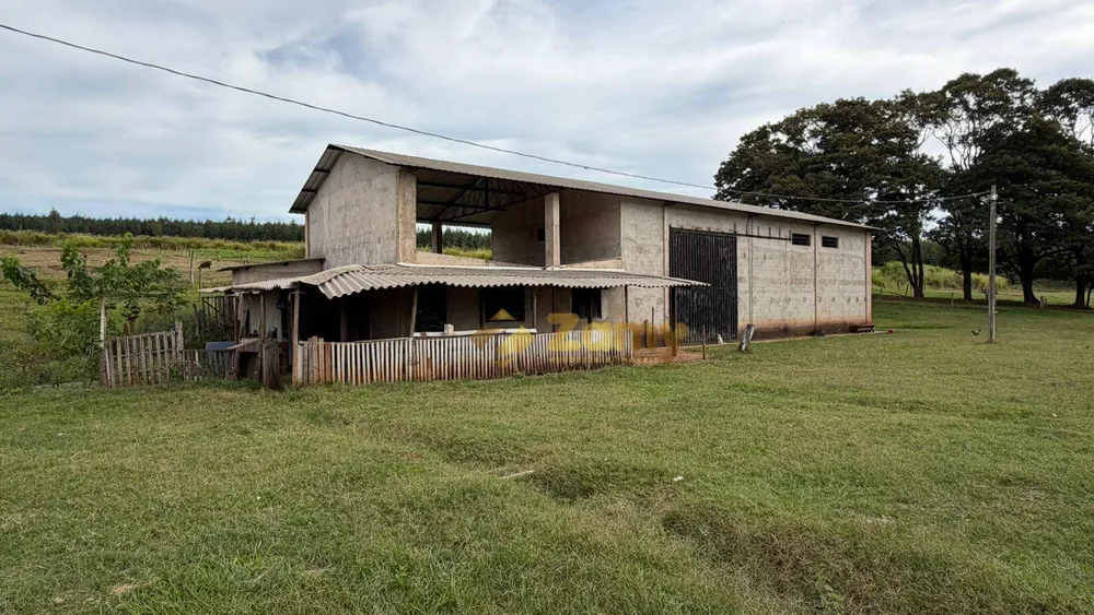 Sítio, 3 quartos, 242 hectares - Foto 3