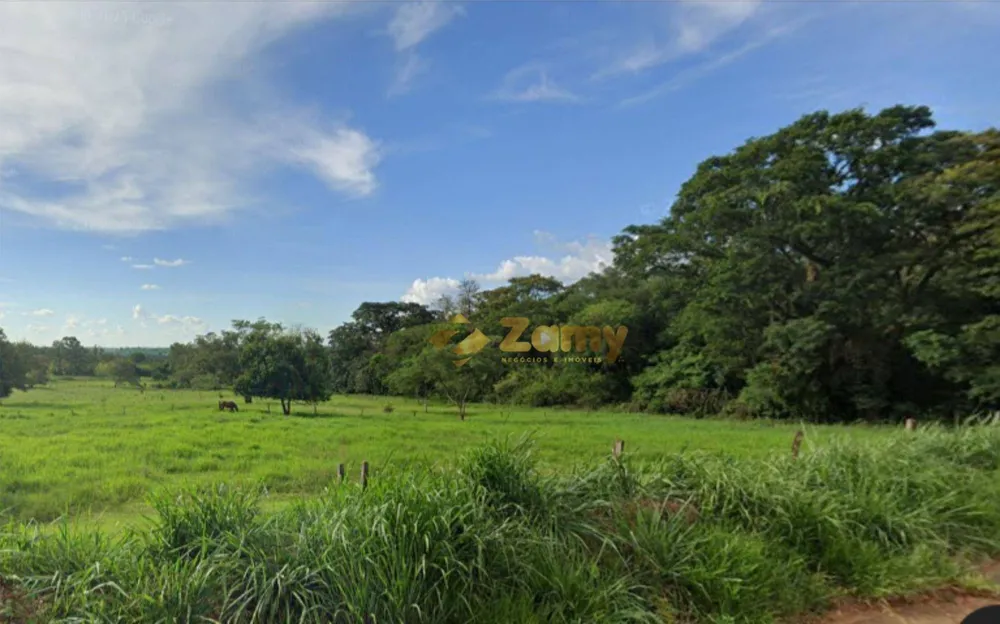 Terreno, 4 hectares - Foto 3