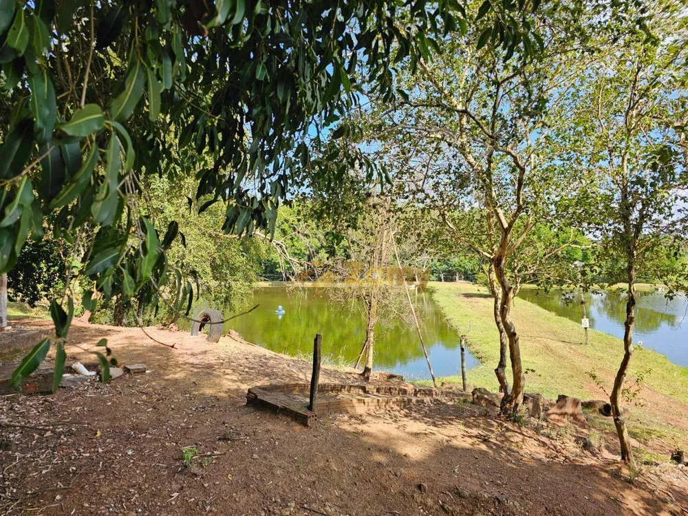 Sítio, 4 hectares - Foto 16
