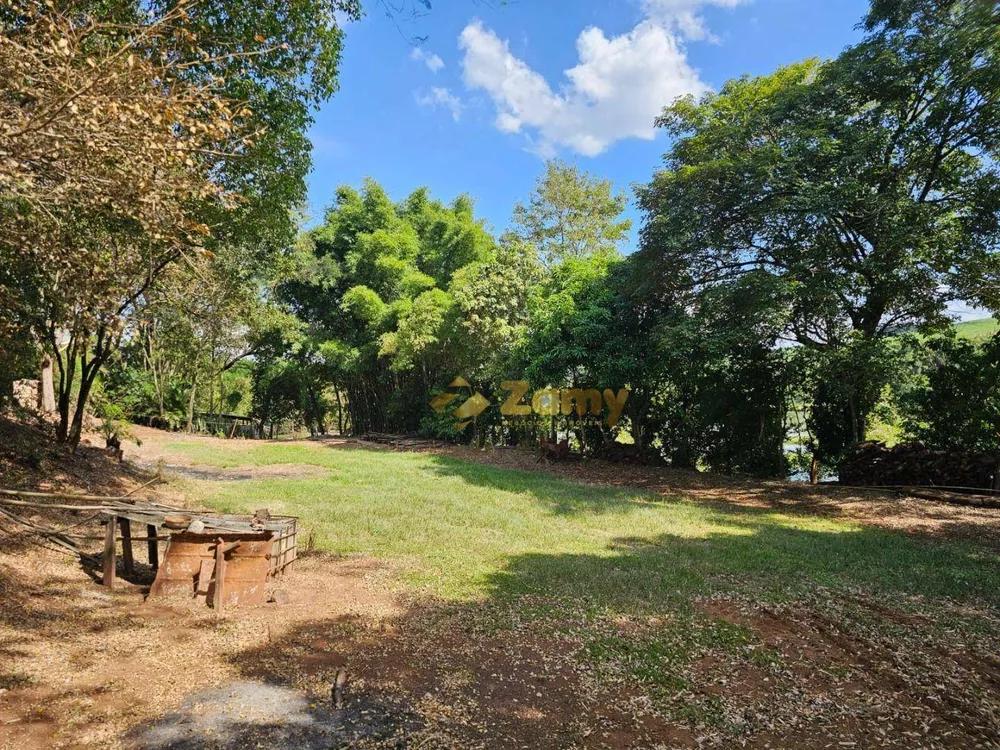 Sítio, 4 hectares - Foto 12