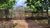 Terreno, 288 m² - Foto 1