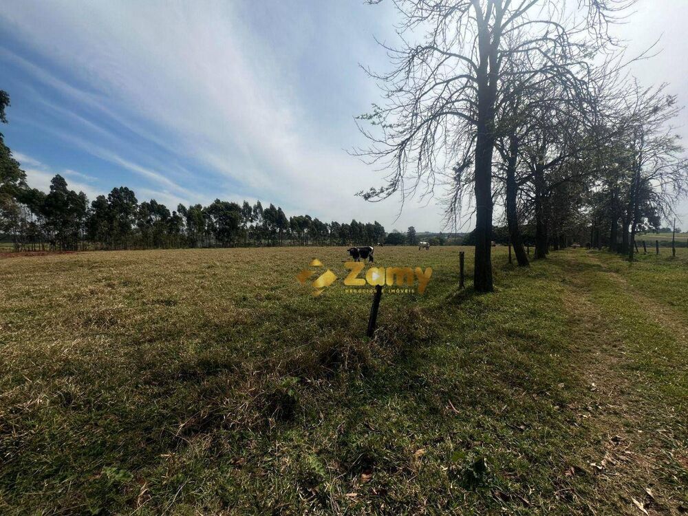 Sítio, 6 hectares - Foto 2