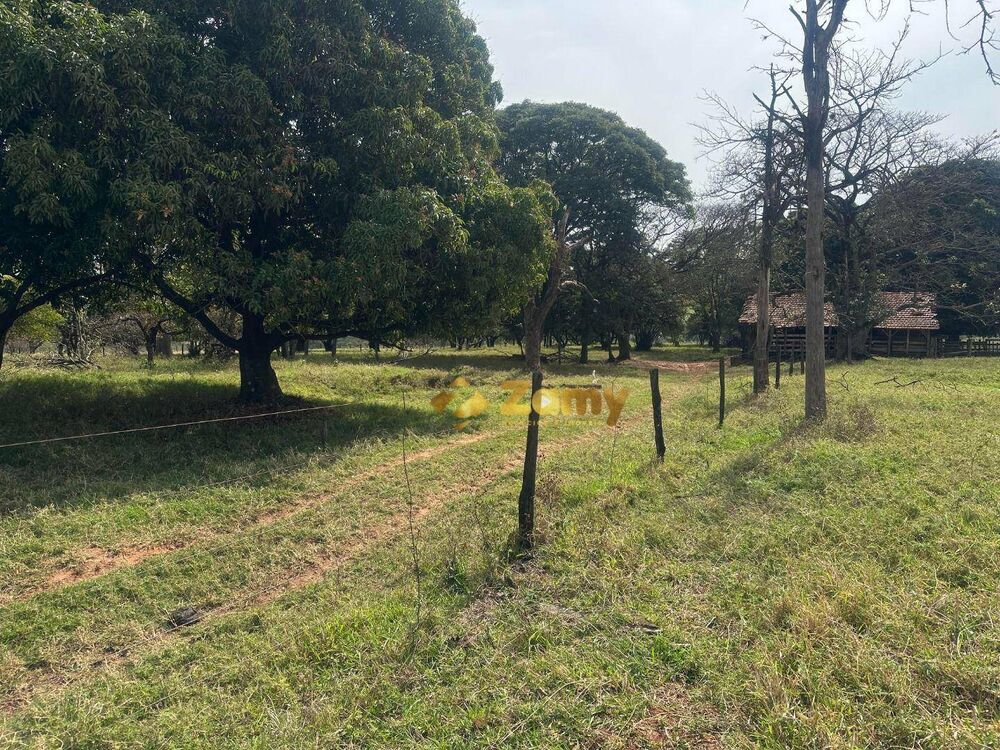 Sítio, 6 hectares - Foto 1