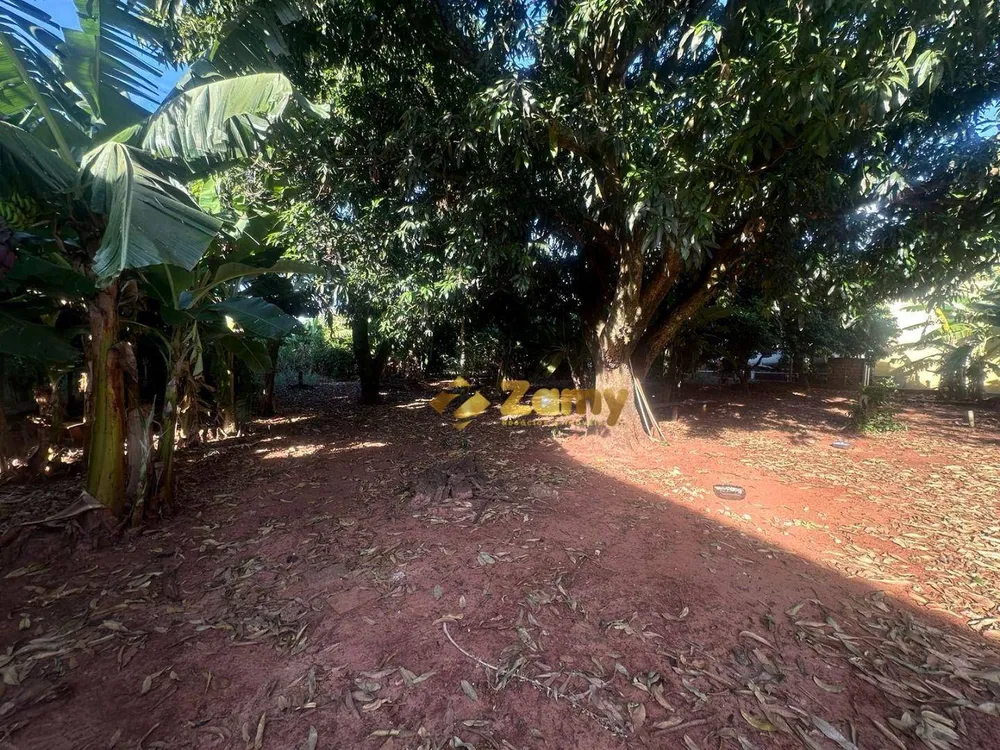 Chácara, 3 quartos, 10000 m² - Foto 16
