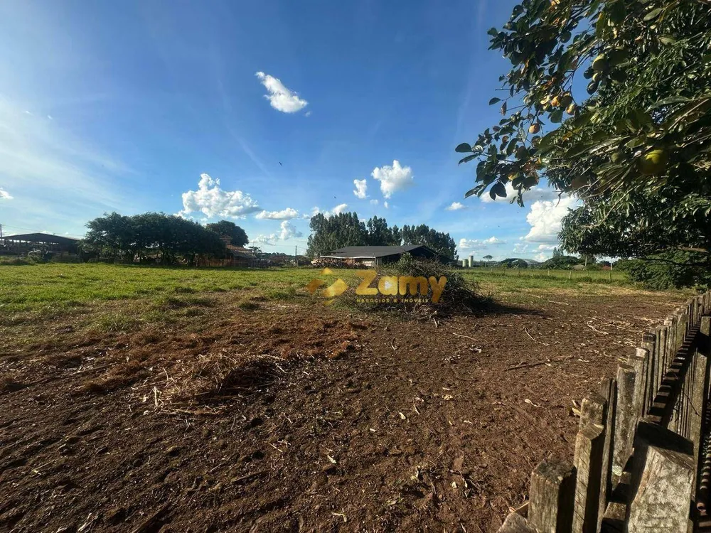 Chácara, 3 quartos, 10000 m² - Foto 4