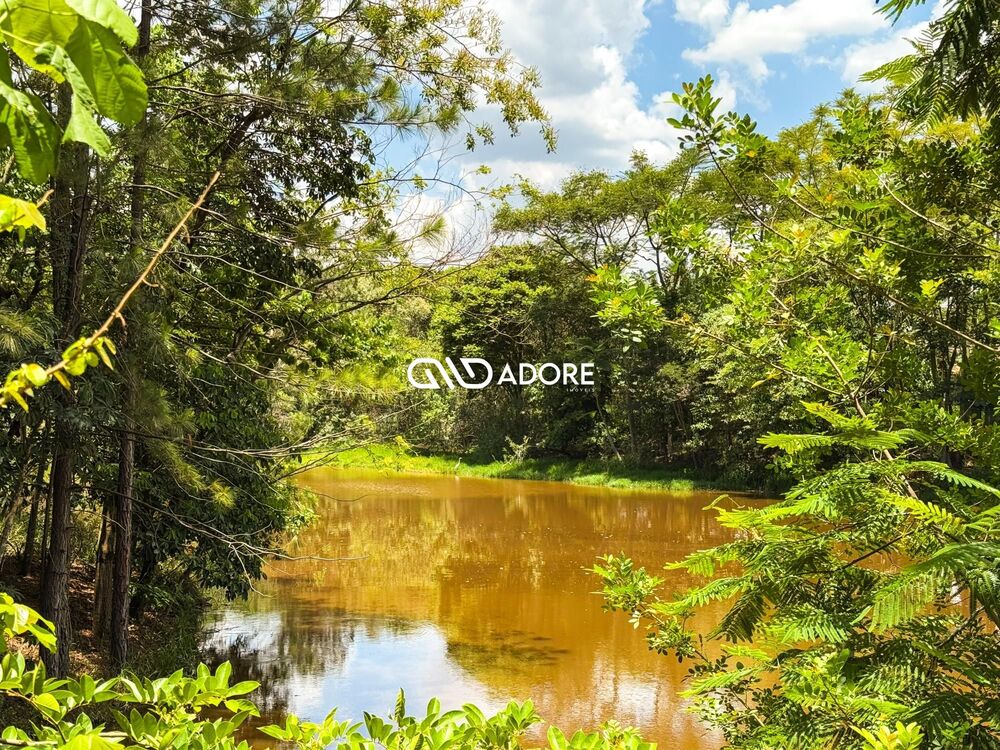 Terreno, 2177 m² - Foto 5