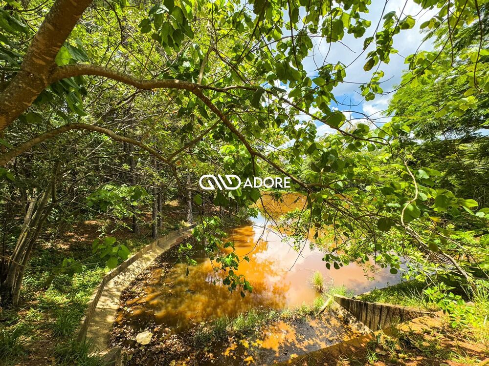 Terreno, 2177 m² - Foto 3