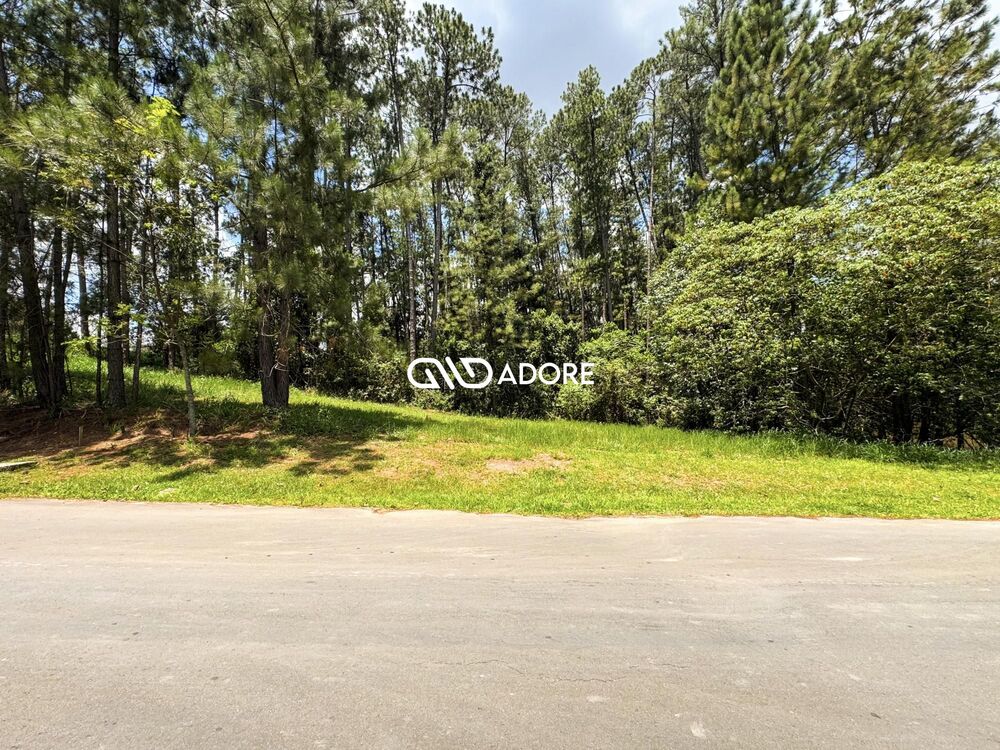 Terreno, 2177 m² - Foto 6