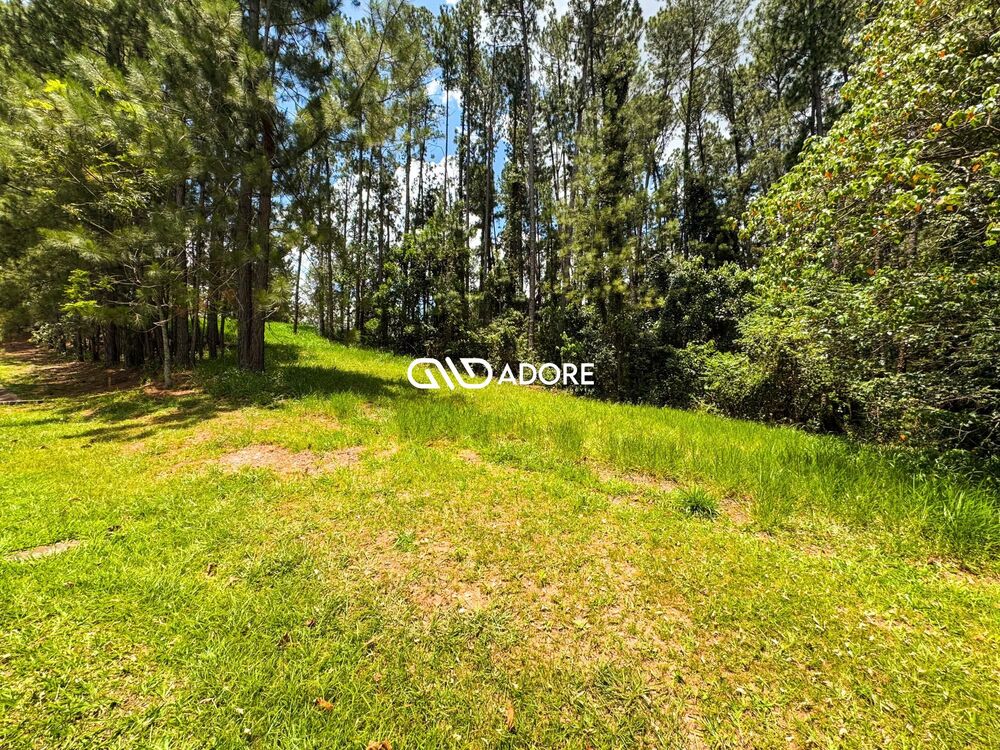 Terreno, 2177 m² - Foto 2