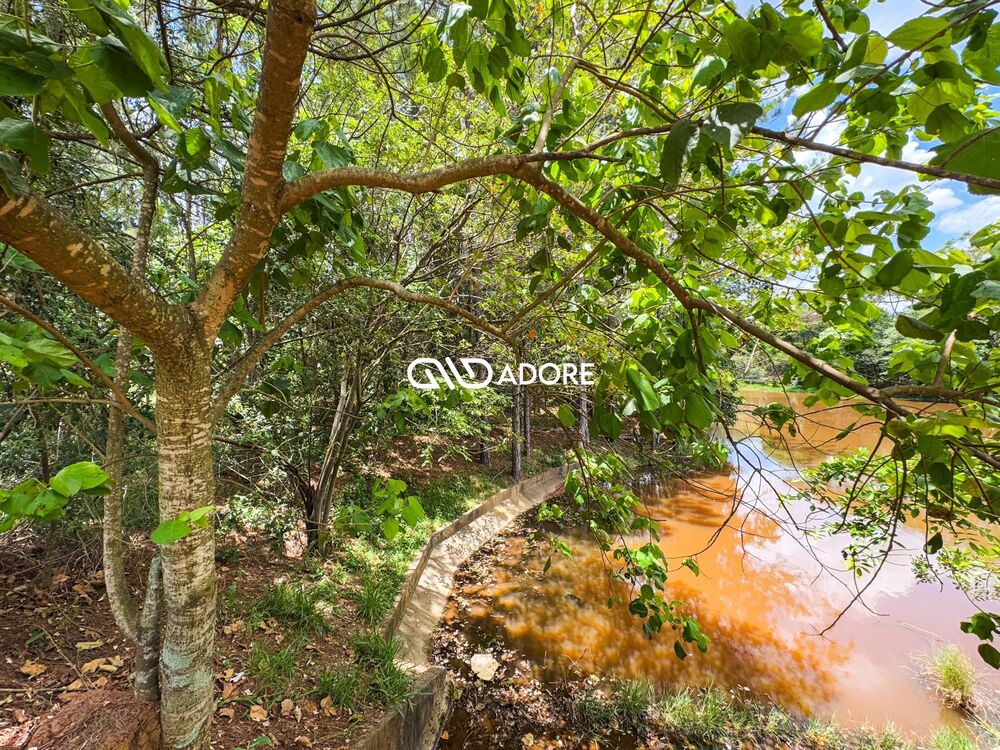 Terreno, 2177 m² - Foto 4