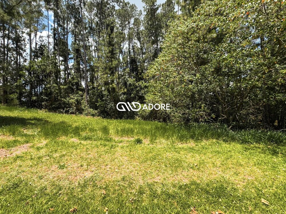 Terreno, 2177 m² - Foto 1