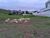 Terreno, 700 m² - Foto 6