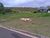 Terreno, 700 m² - Foto 10