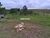 Terreno, 700 m² - Foto 3