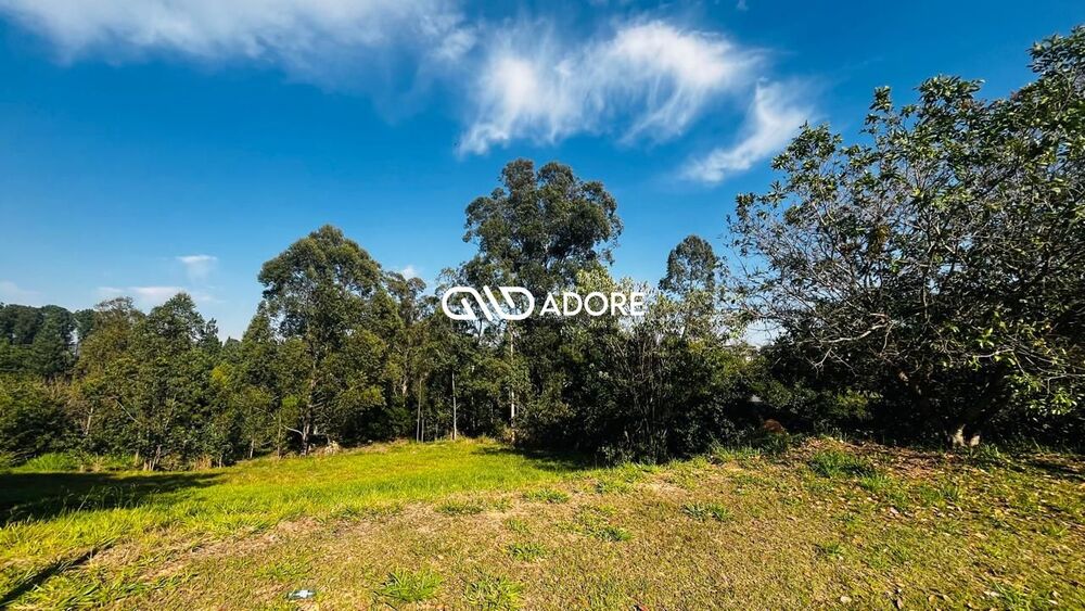 Terreno, 2035 m² - Foto 3