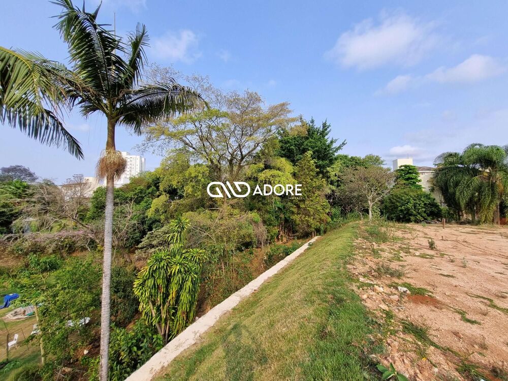 Terreno, 8000 m² - Foto 2