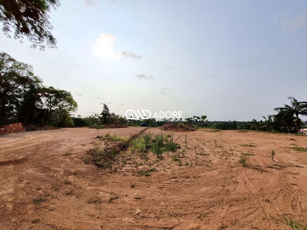 Terreno, 8000 m² - Foto 4