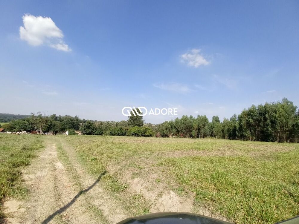 Sítio, 3 quartos, 8 m² - Foto 11