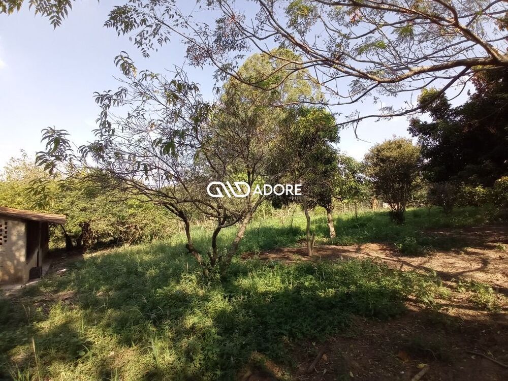 Sítio, 3 quartos, 8 m² - Foto 4