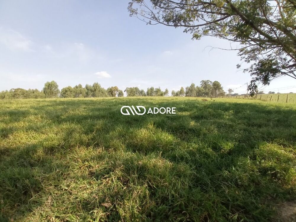 Sítio, 3 quartos, 8 m² - Foto 16