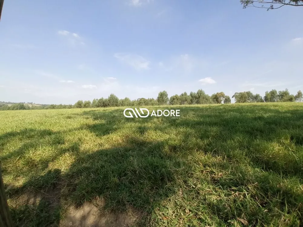 Sítio, 3 quartos, 8 m² - Foto 15