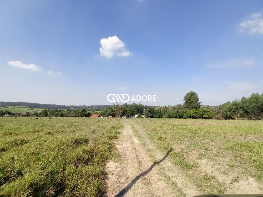 Sítio, 3 quartos, 8 m² - Foto 10