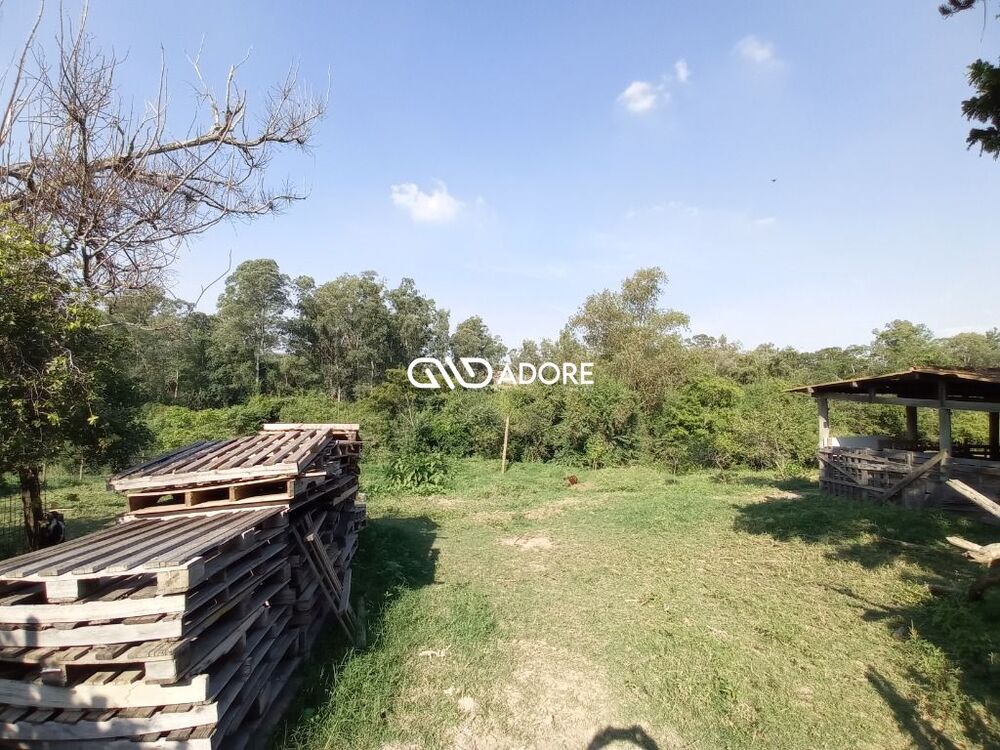 Sítio, 3 quartos, 8 m² - Foto 3