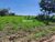 Terreno, 480 m² - Foto 3