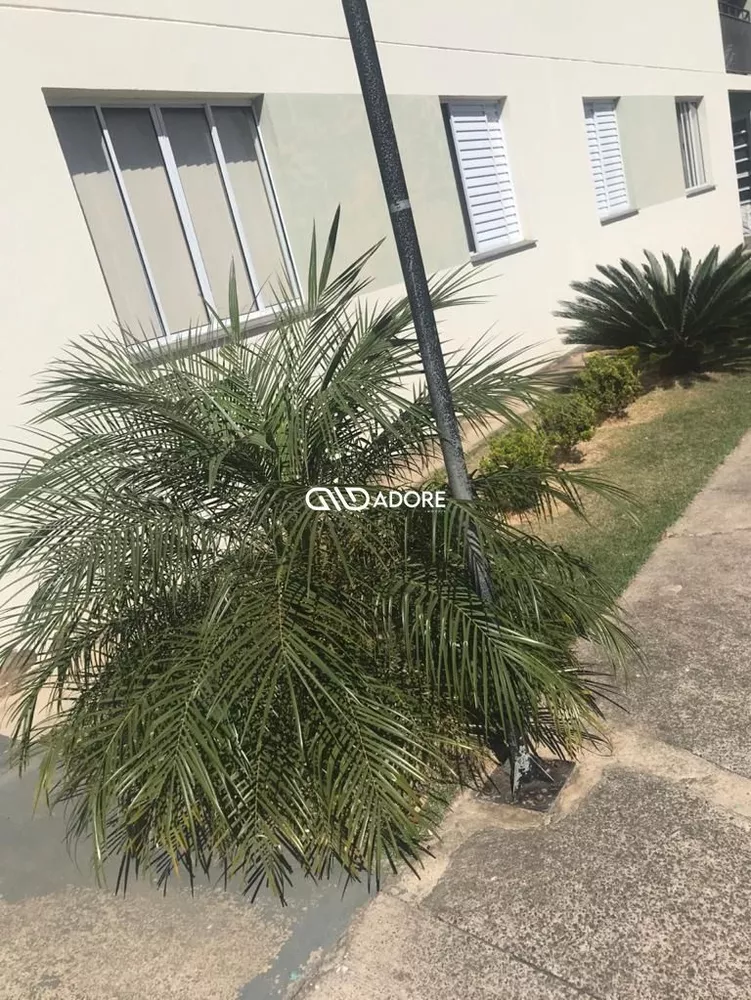 Apartamento, 2 quartos, 45 m² - Foto 3