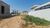 Terreno, 300 m² - Foto 9