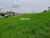Terreno, 525 m² - Foto 4