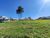 Terreno, 503 m² - Foto 5